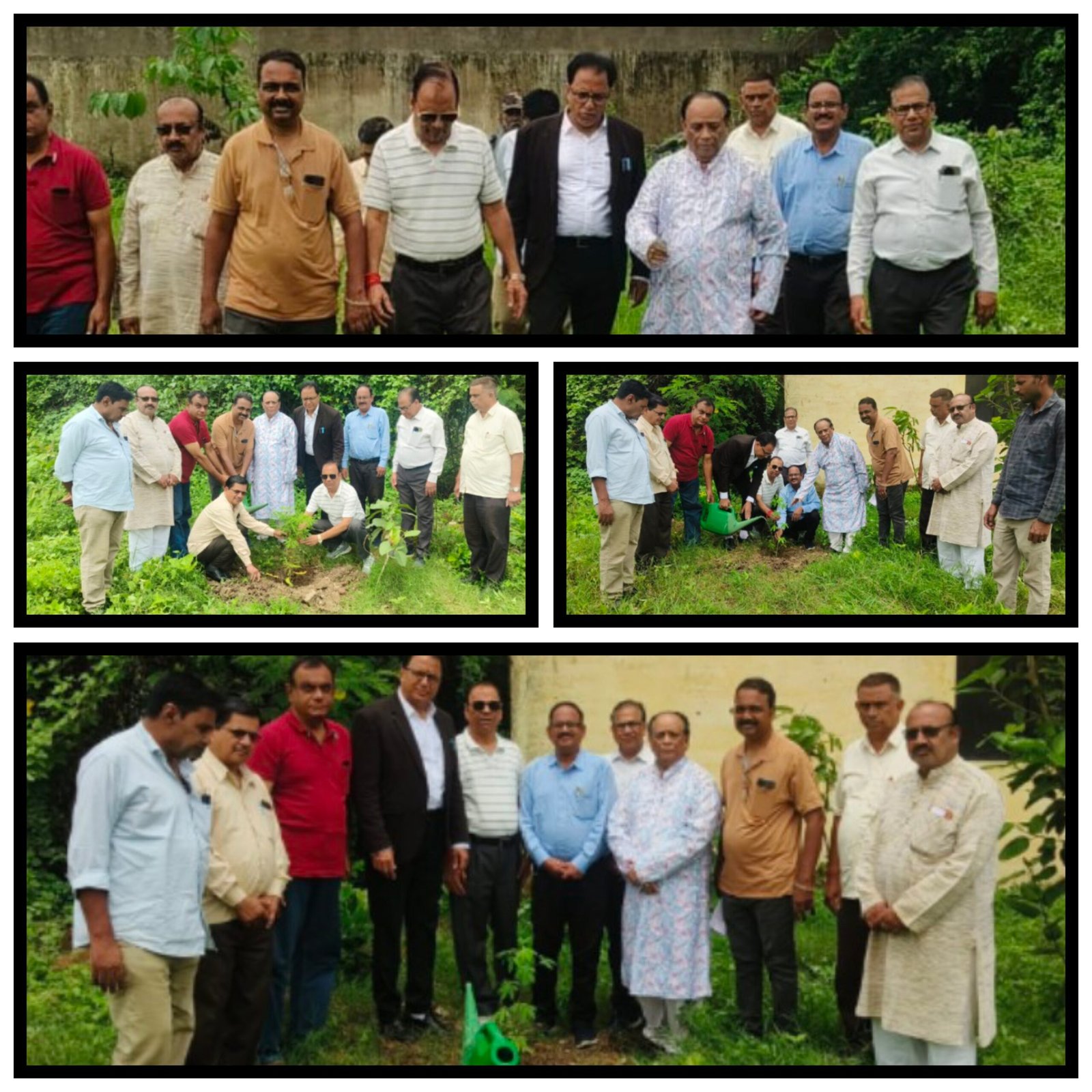 NHICF नेशनल प्रेस क्लब के बैनर तले “एक पेड़ माँ के नाम” अभियान — जे पी वर्मा कॉलेज बना ऐतिहासिक पहल का गवाह